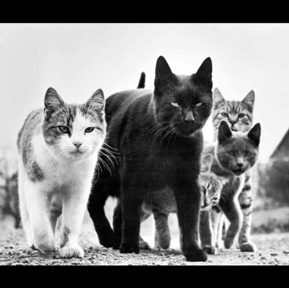 MAKE AN OFFER I CAN'T REFUSE - Picture 3 of 6